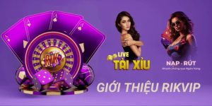 Rikvip và thông tin tổng quan