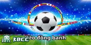 thong-tin-ve-keo-dong-banh-la-gi